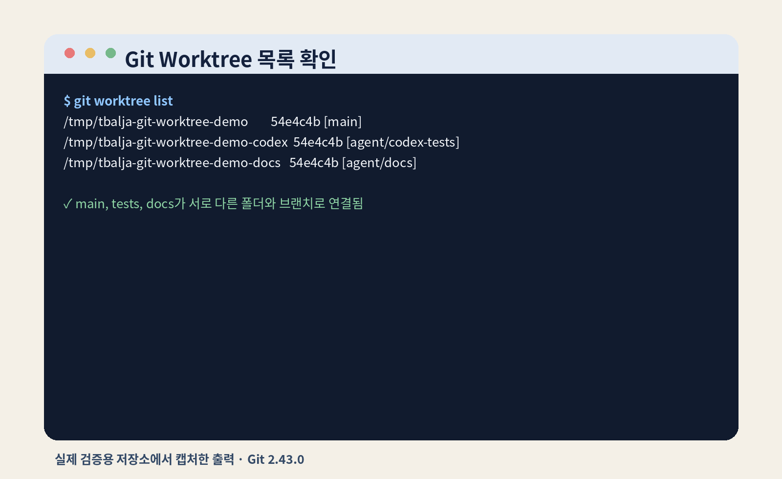 main과 문서·테스트 브랜치가 서로 다른 폴더에 연결된 git worktree list 출력