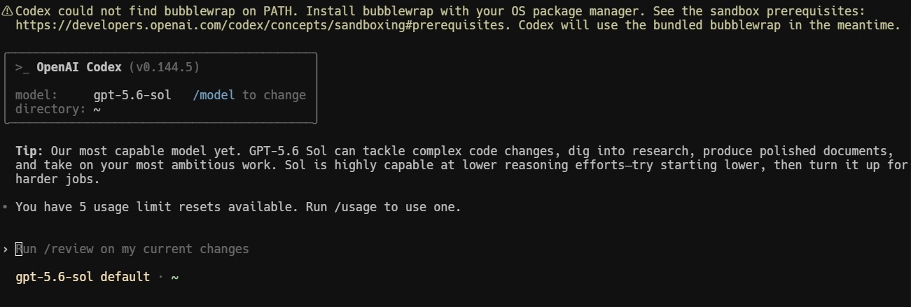 라즈베리파이5 Ubuntu Server에서 Codex CLI 첫 실행 성공