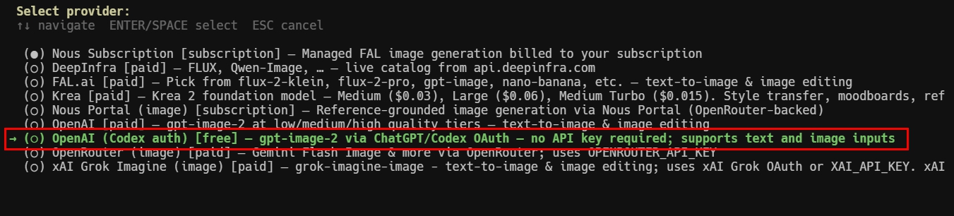 Hermes Image Generation 제공자에서 OpenAI Codex OAuth 선택