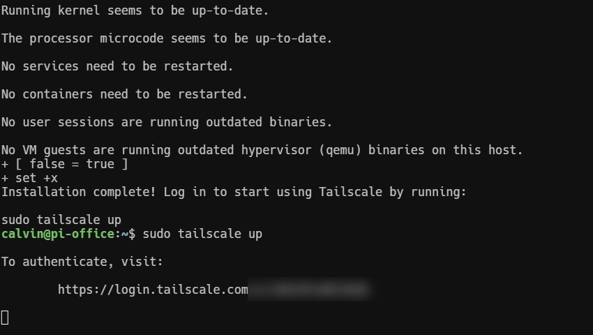 Ubuntu에 Tailscale을 설치하고 브라우저 인증 주소 확인
